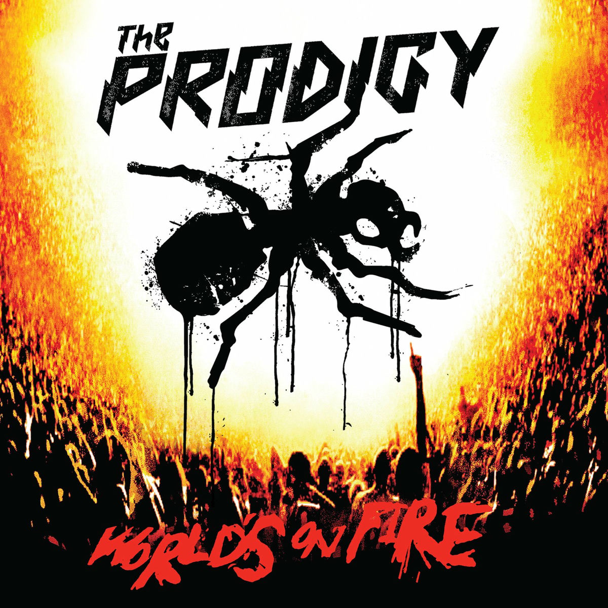 Album cover of Intro