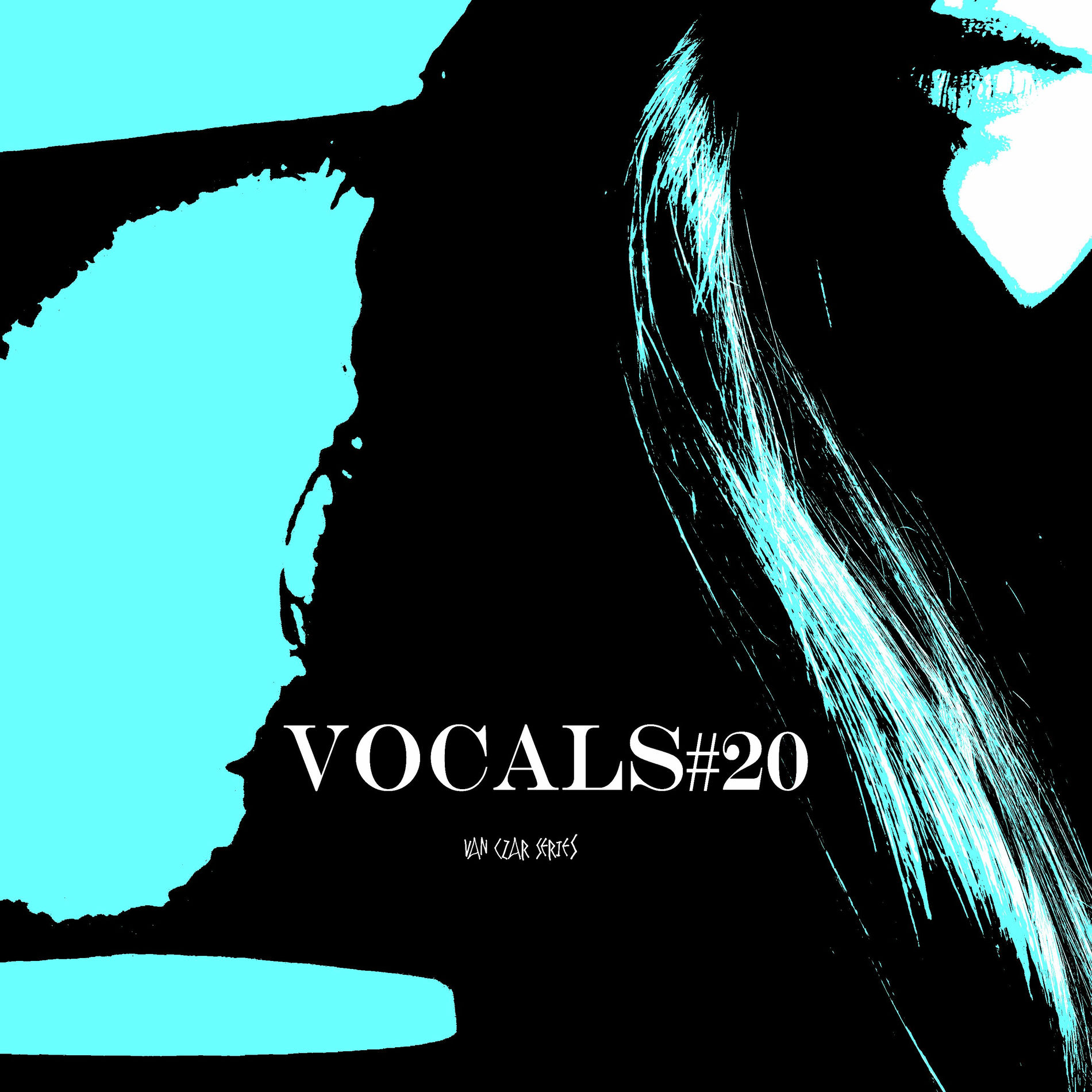 Album cover of Vocals #20