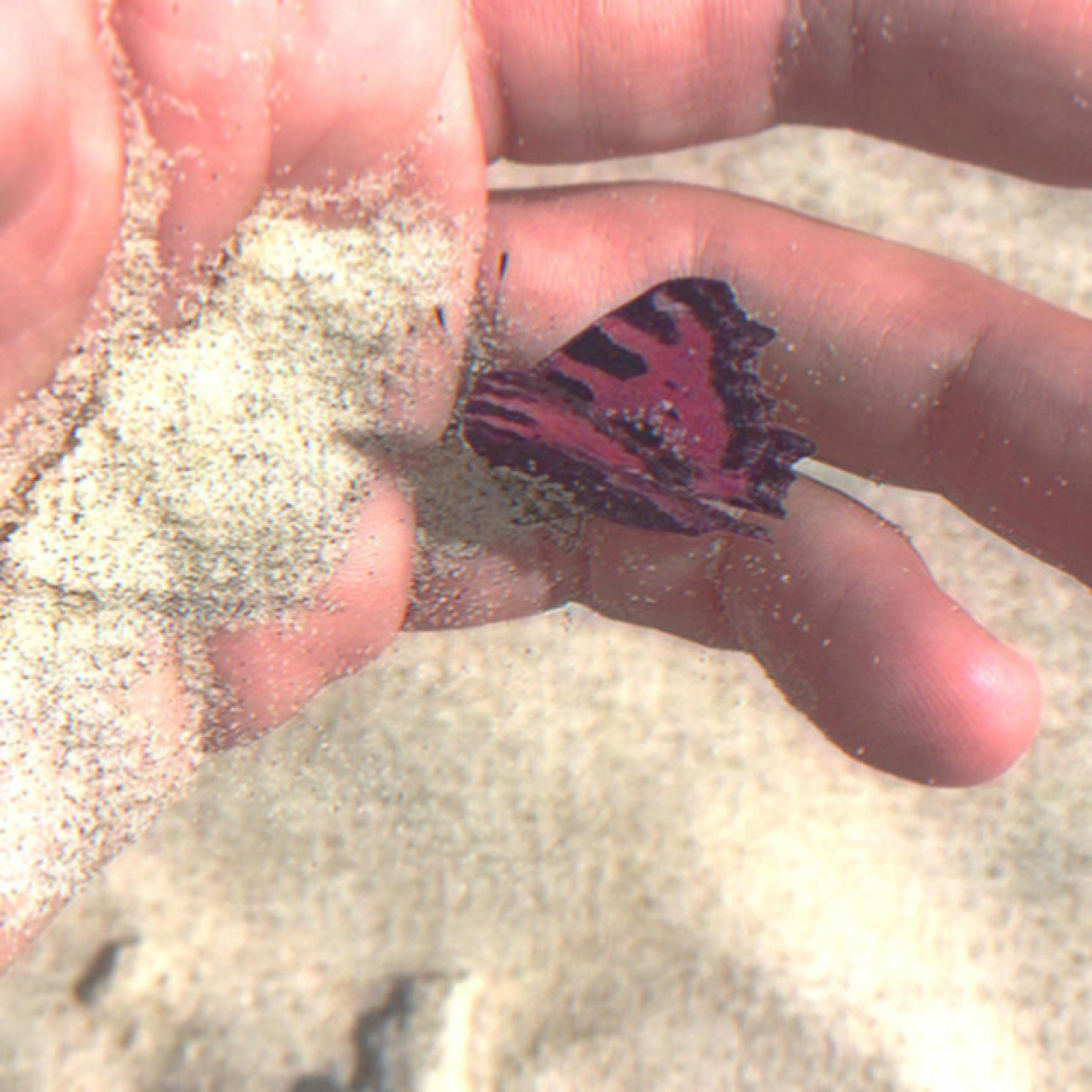 Album cover of You Were Needed the Most