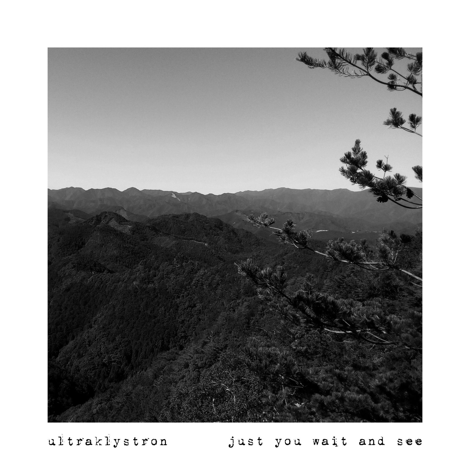 Album cover of Just You Wait and See