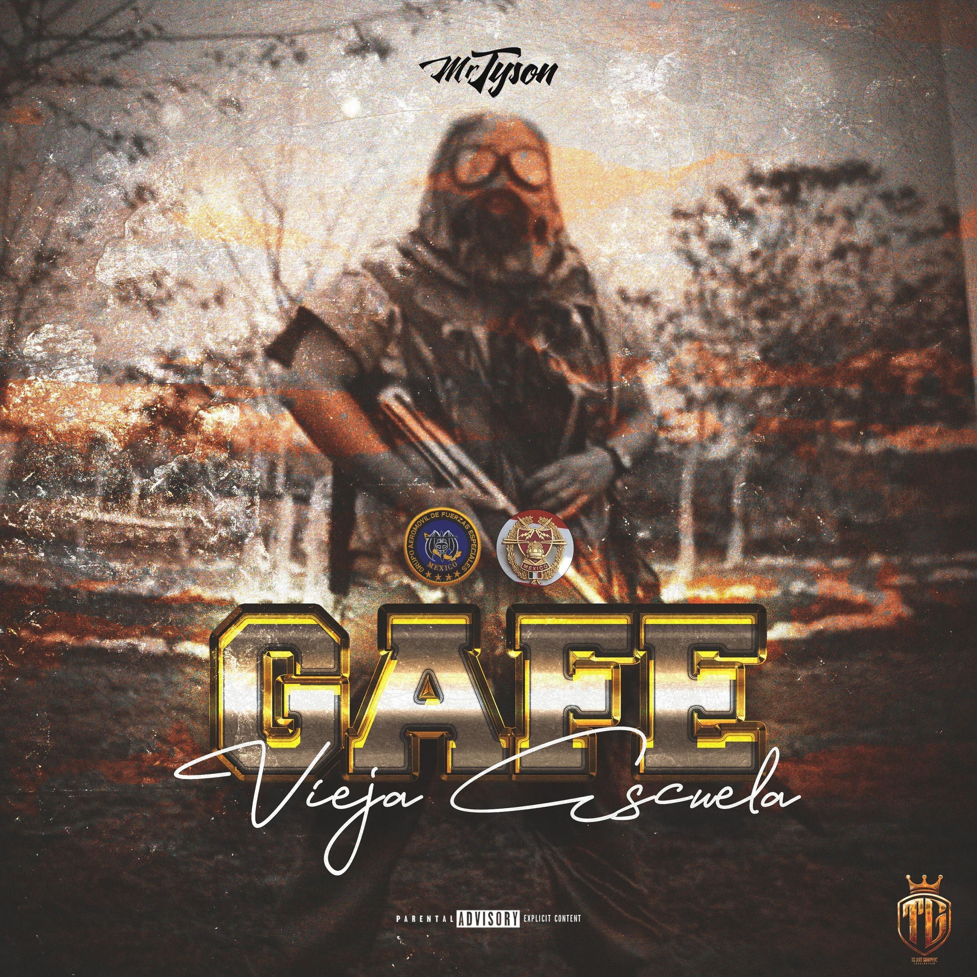 Album cover of GAFE VIEJA ESCUELA