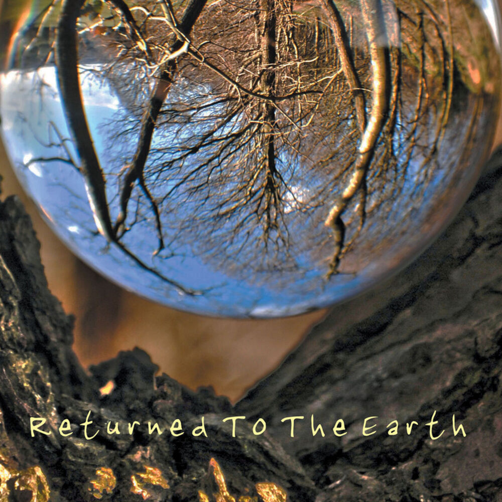 Picture of Returned to the Earth