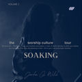the worship culture tour (vol. 3): SOAKING (live)