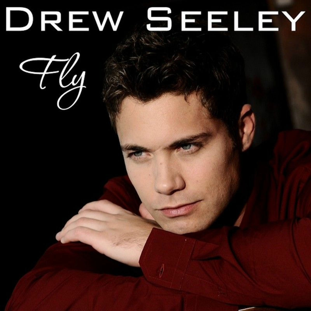Album cover of Fly
