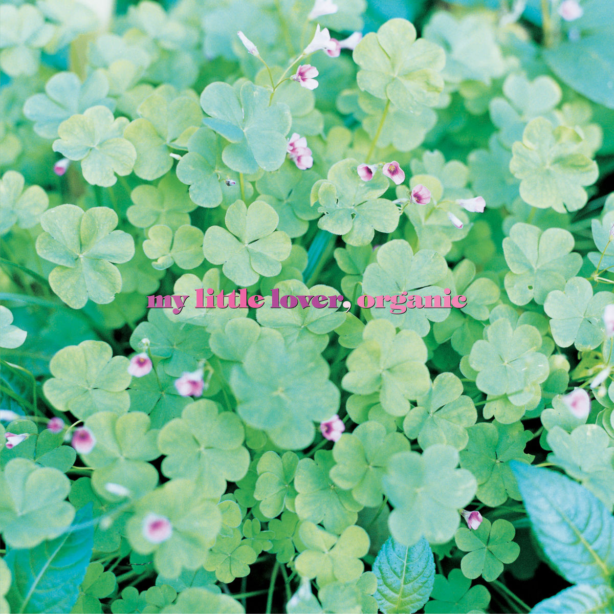 Album cover of organic