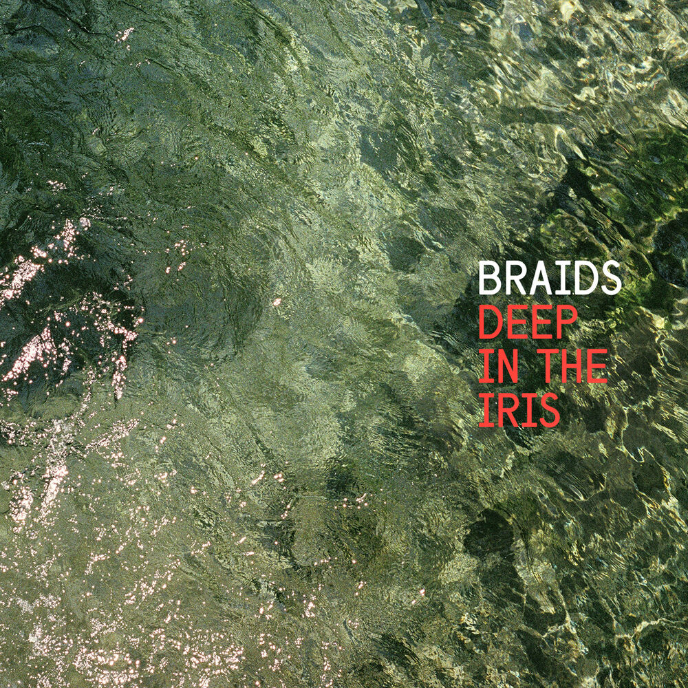 Picture of Deep In the Iris