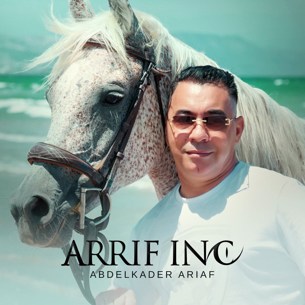 Album cover of Arrif Ino