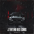 J'entend des &eacute;chos