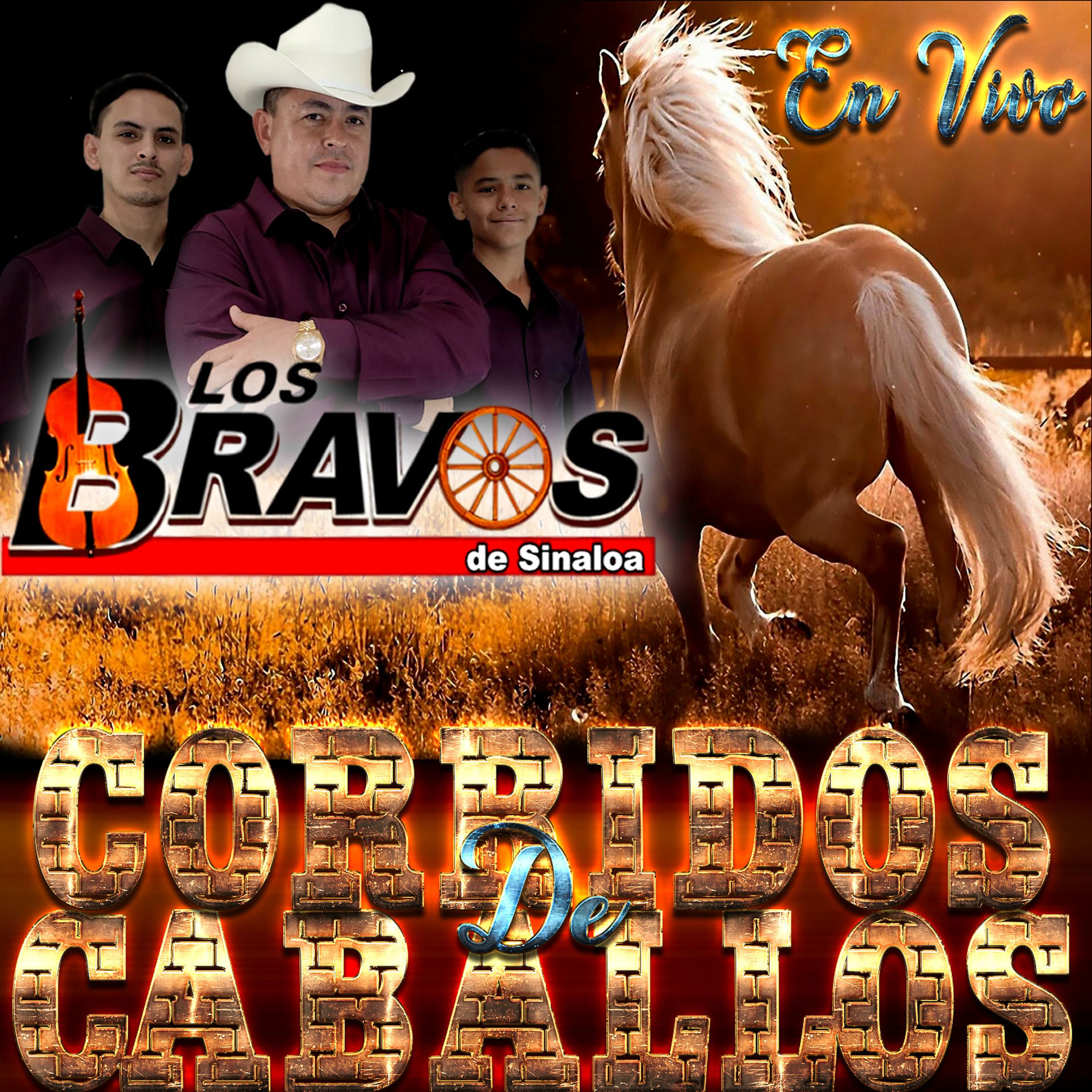 Album cover of Corridos de Caballos (En Vivo)