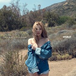 Cover of A+