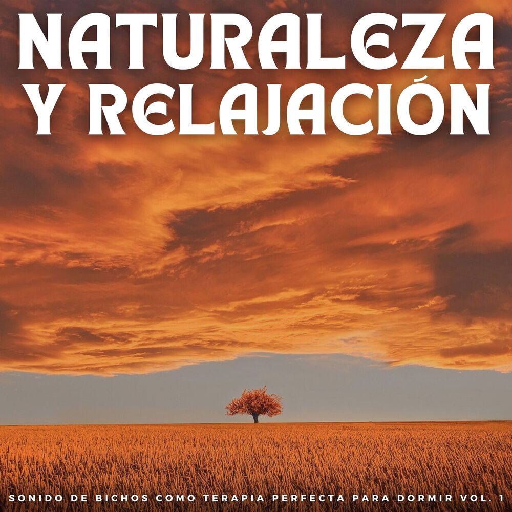 Picture of Naturaleza Y Relajación: Sonido De Bichos Como Terapia Perfecta Para Dormir Vol. 1