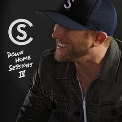 Cover of Down Home Sessions IV