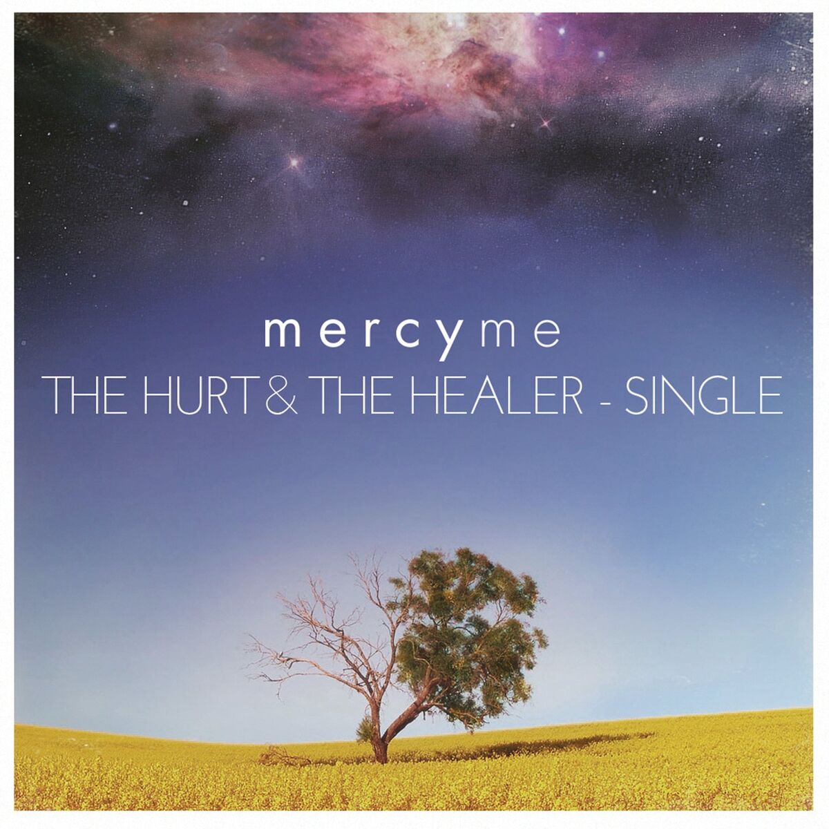 Album cover of The Hurt & The Healer