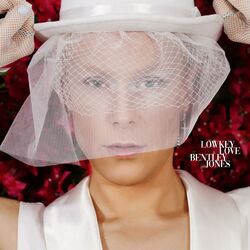 Cover of Lowkey Love