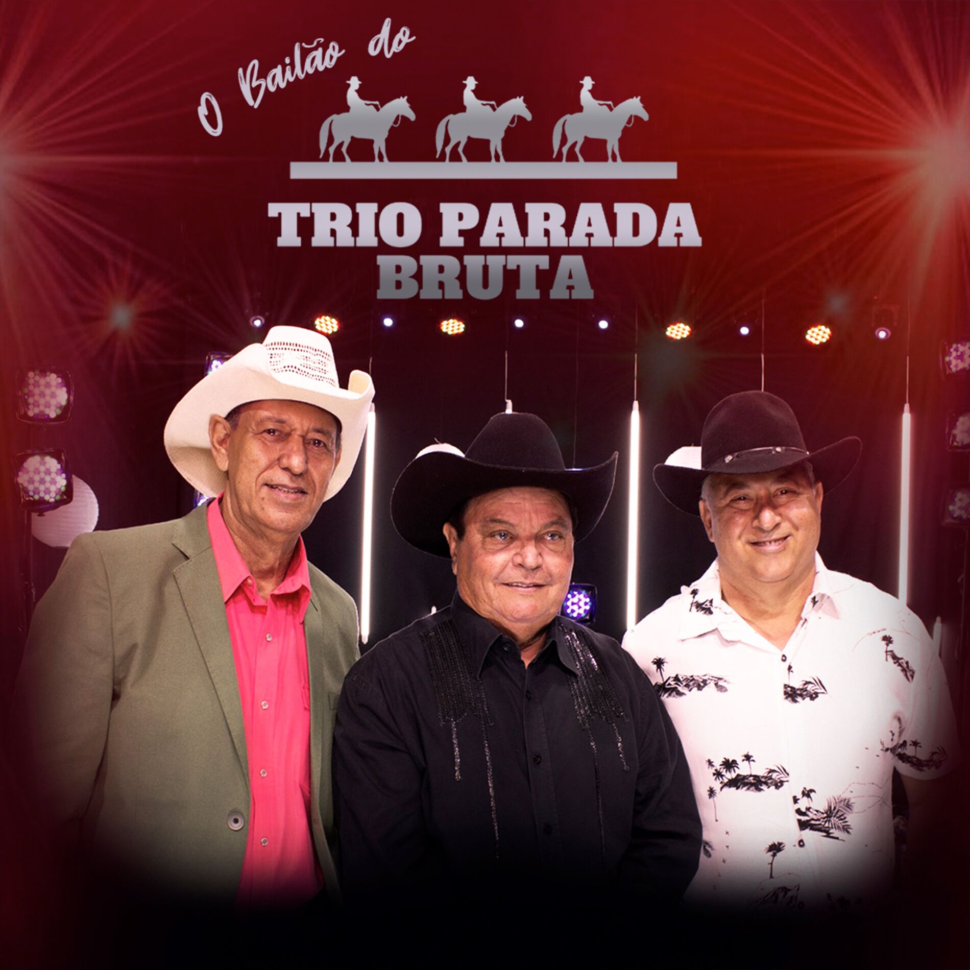 Album cover of O Bailão do Trio Parada Bruta