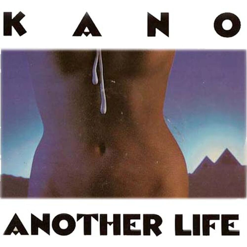 Picture of Another Life (LP)