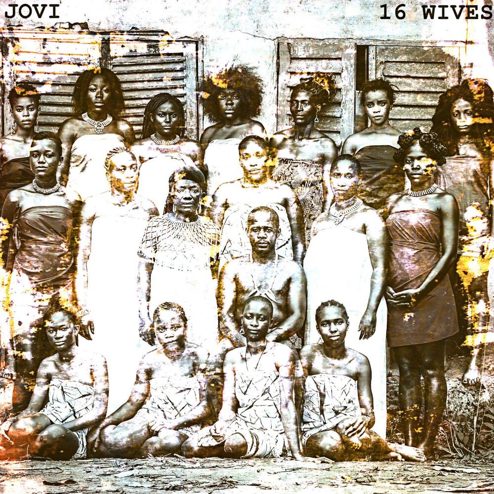 Picture of 16 Wives
