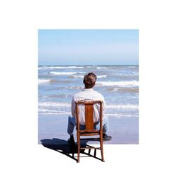 Cover of Simple