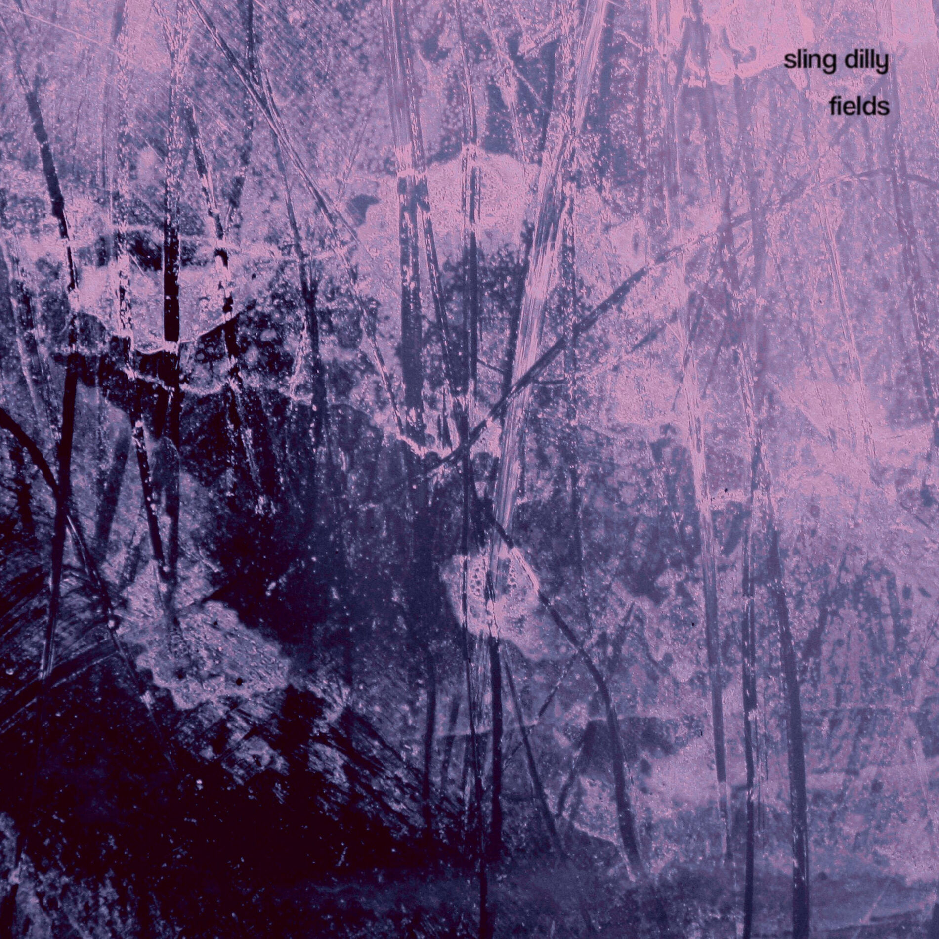 Album cover of Fields