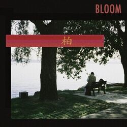 music cover