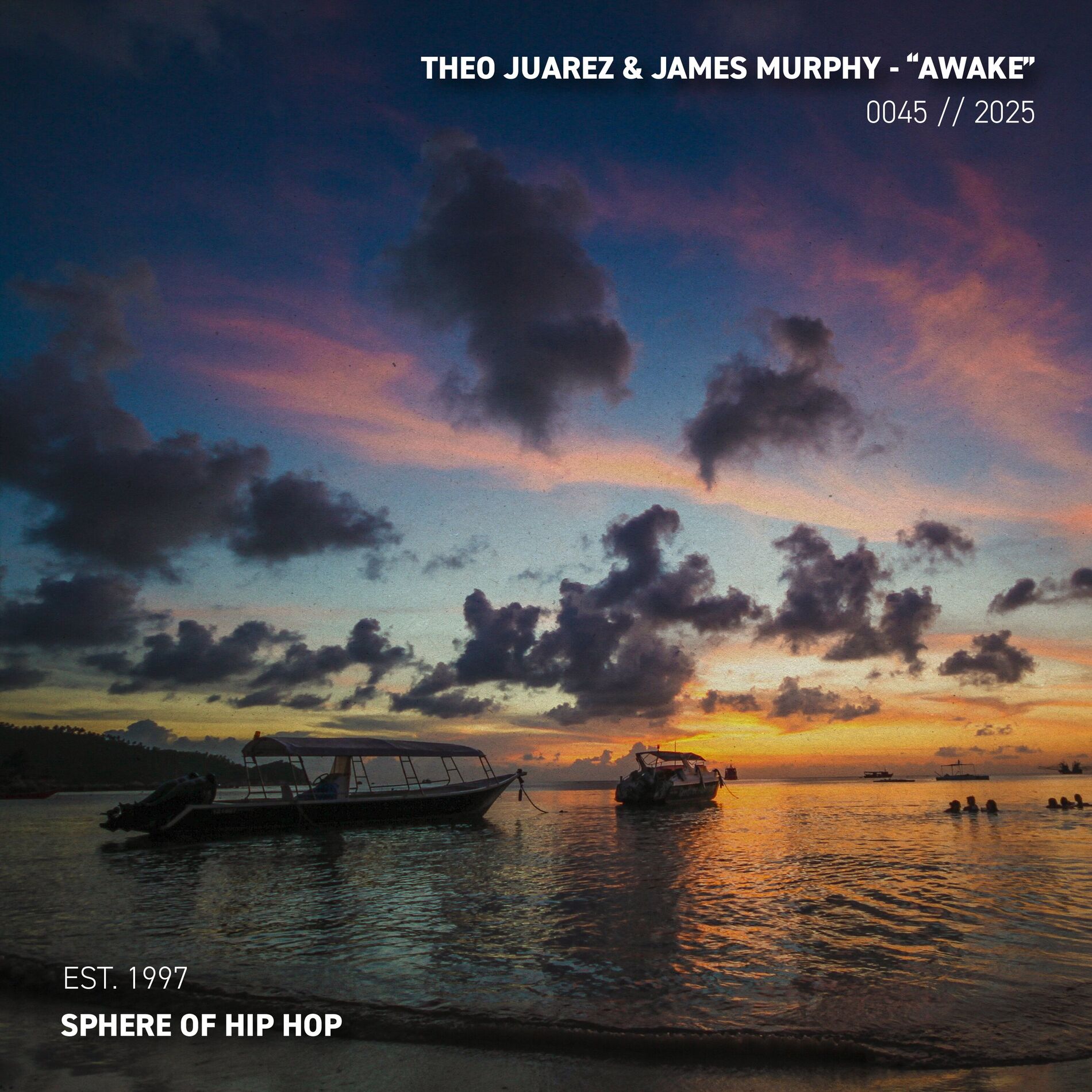 Album cover of Awake