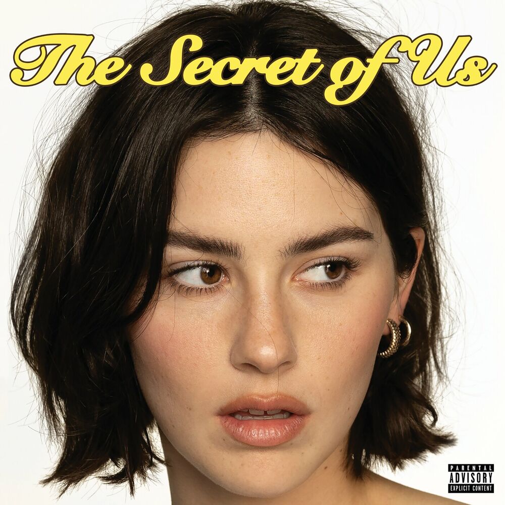 Picture of The Secret of Us
