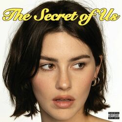 Cover of The Secret of Us
