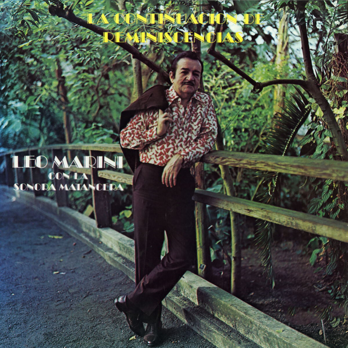 Album cover of La Continuación de Reminiscencias