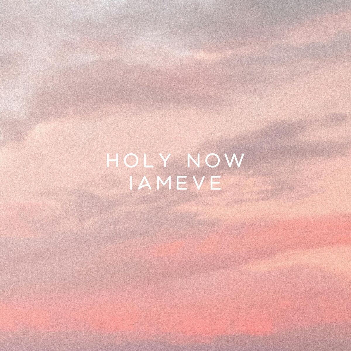 Album cover of Holy Now