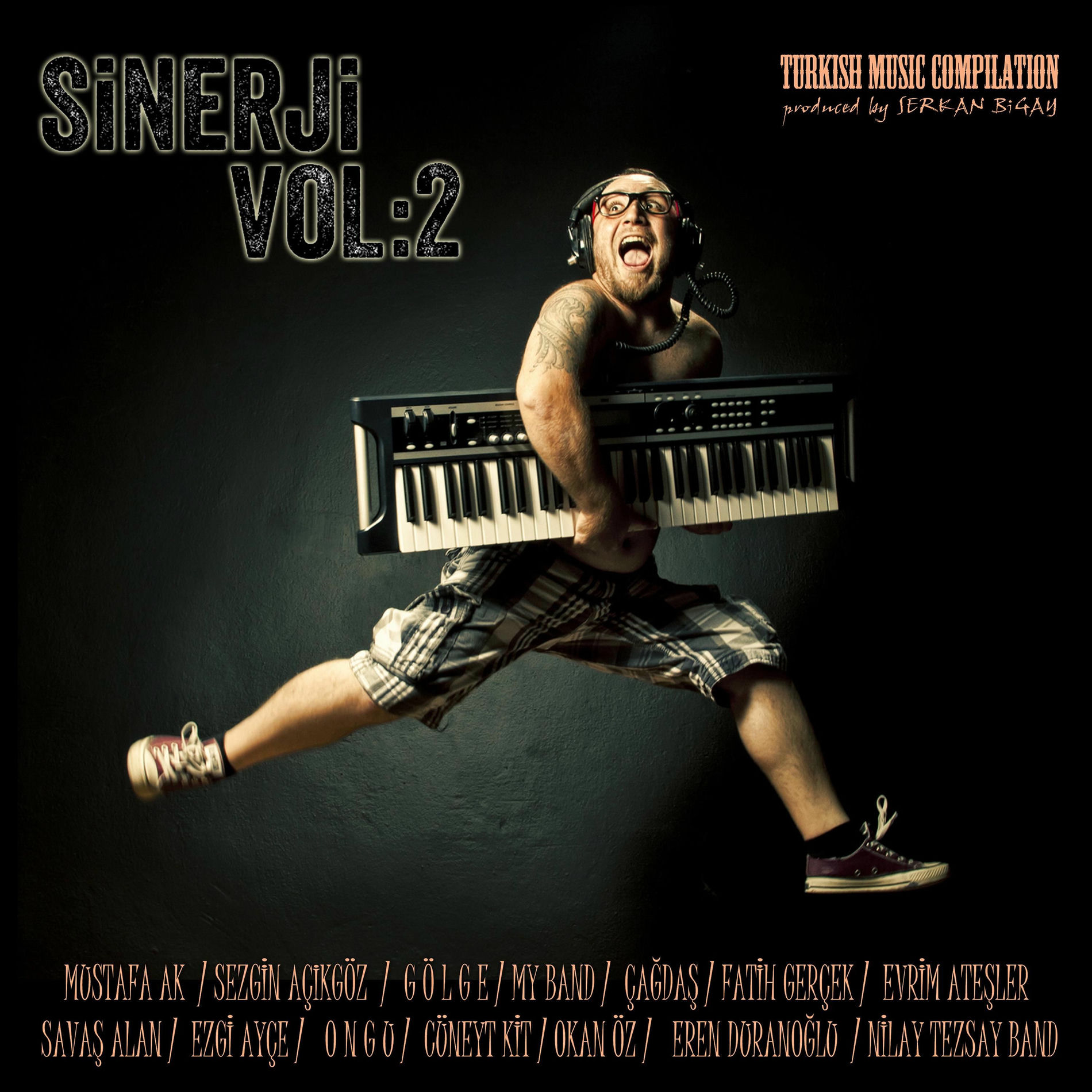 Album cover of Sinerji, Vol. 2