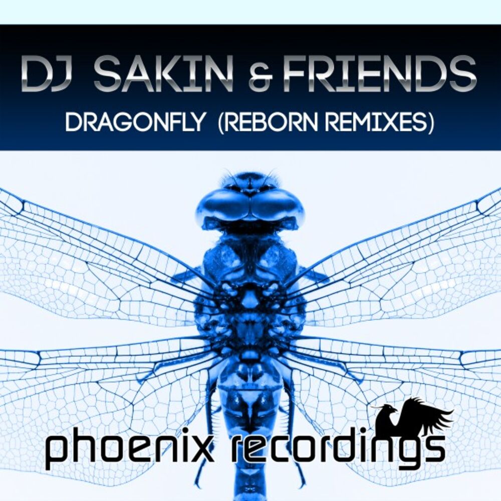 Picture of Dragonfly (Reborn Remixes)