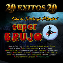 Cover of 20 EXITOS 20
