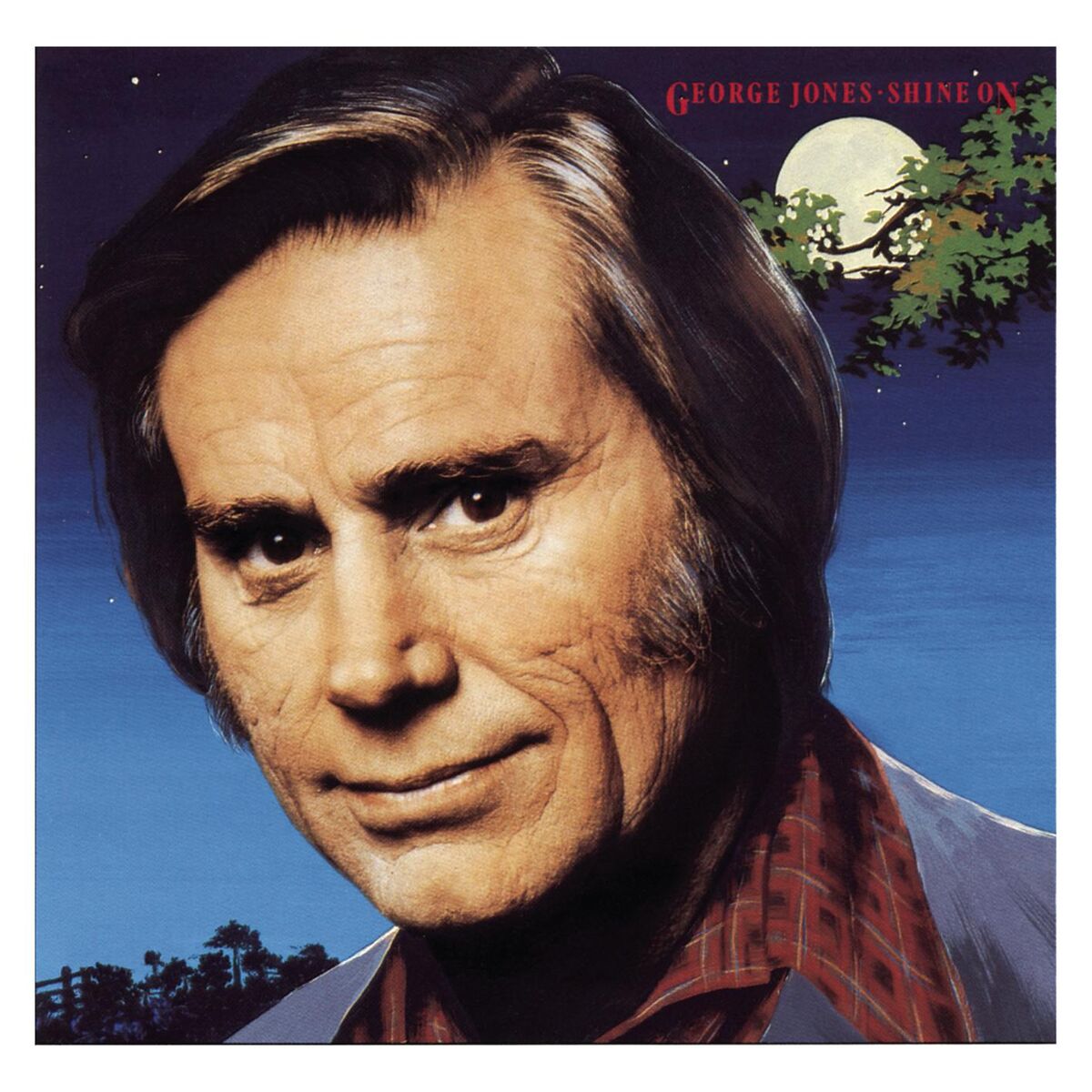 Album cover of Shine On