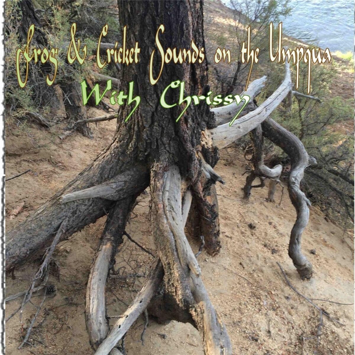 Album cover of Frog and Cricket Sounds On the Umpqua (Live)