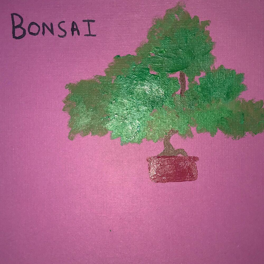 Picture of Bonsai