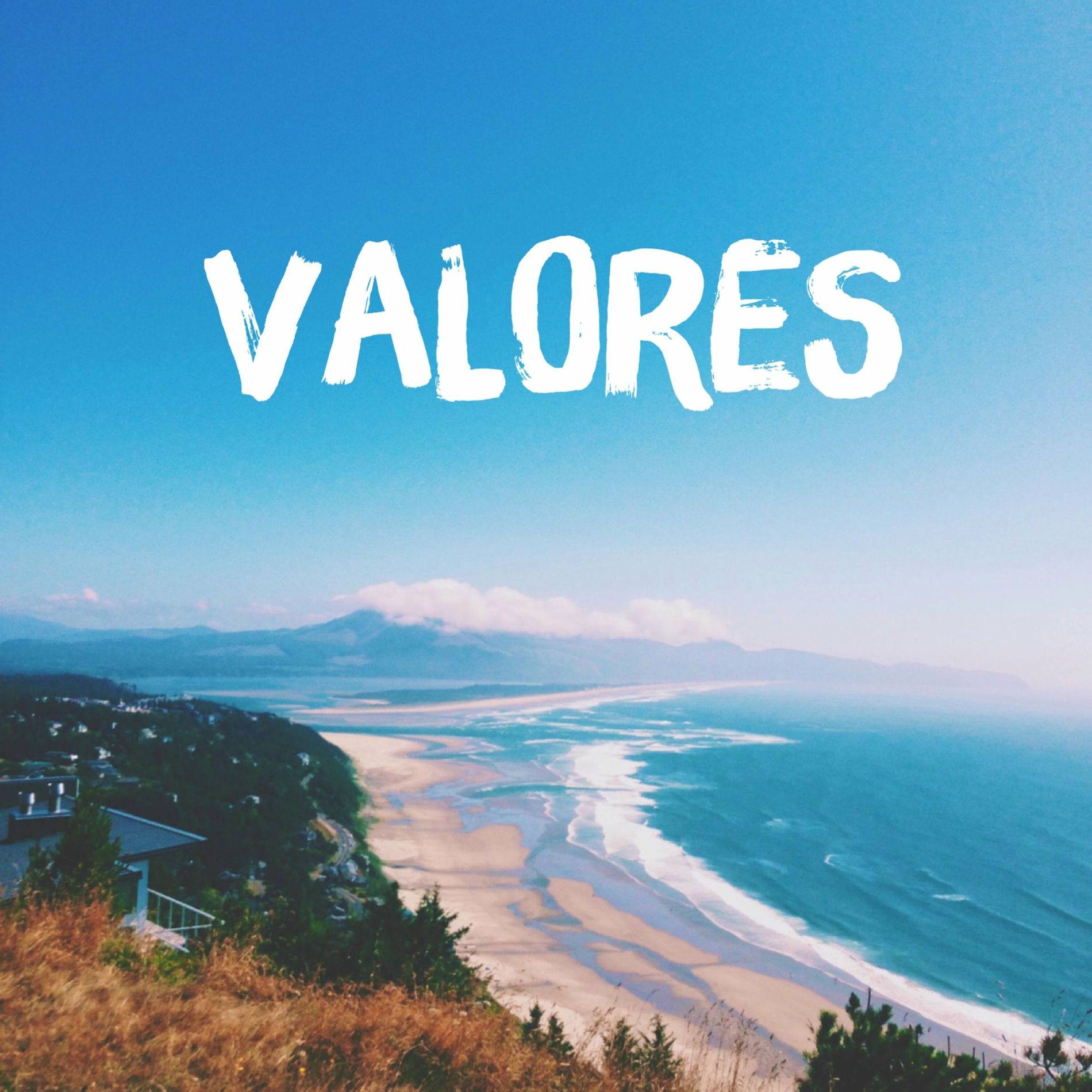 Album cover of Valores