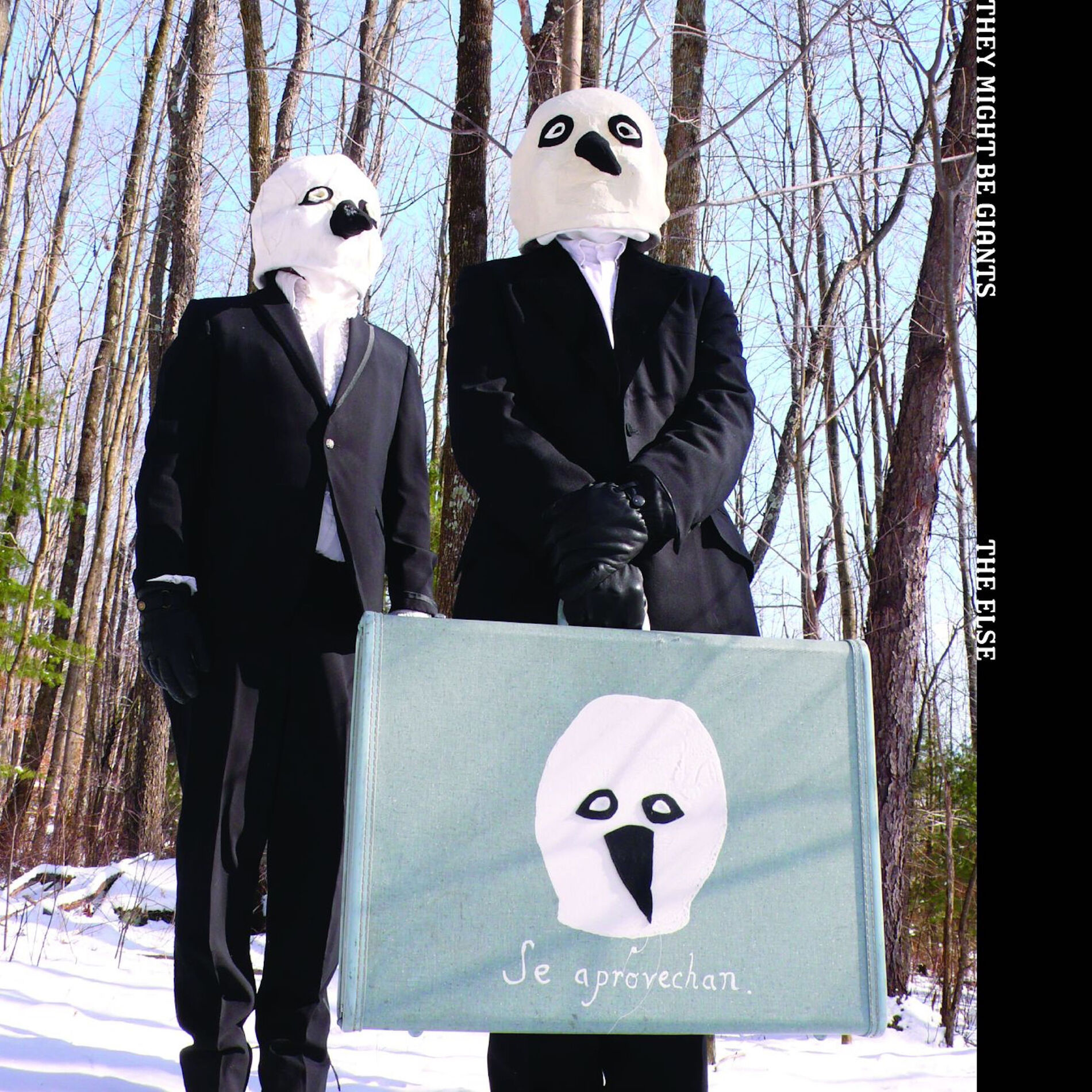 Album cover of The Else