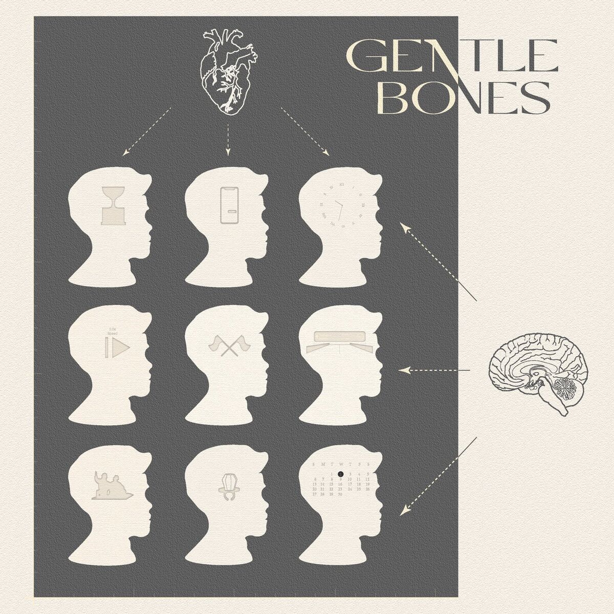 Album cover of Gentle Bones (Deluxe)