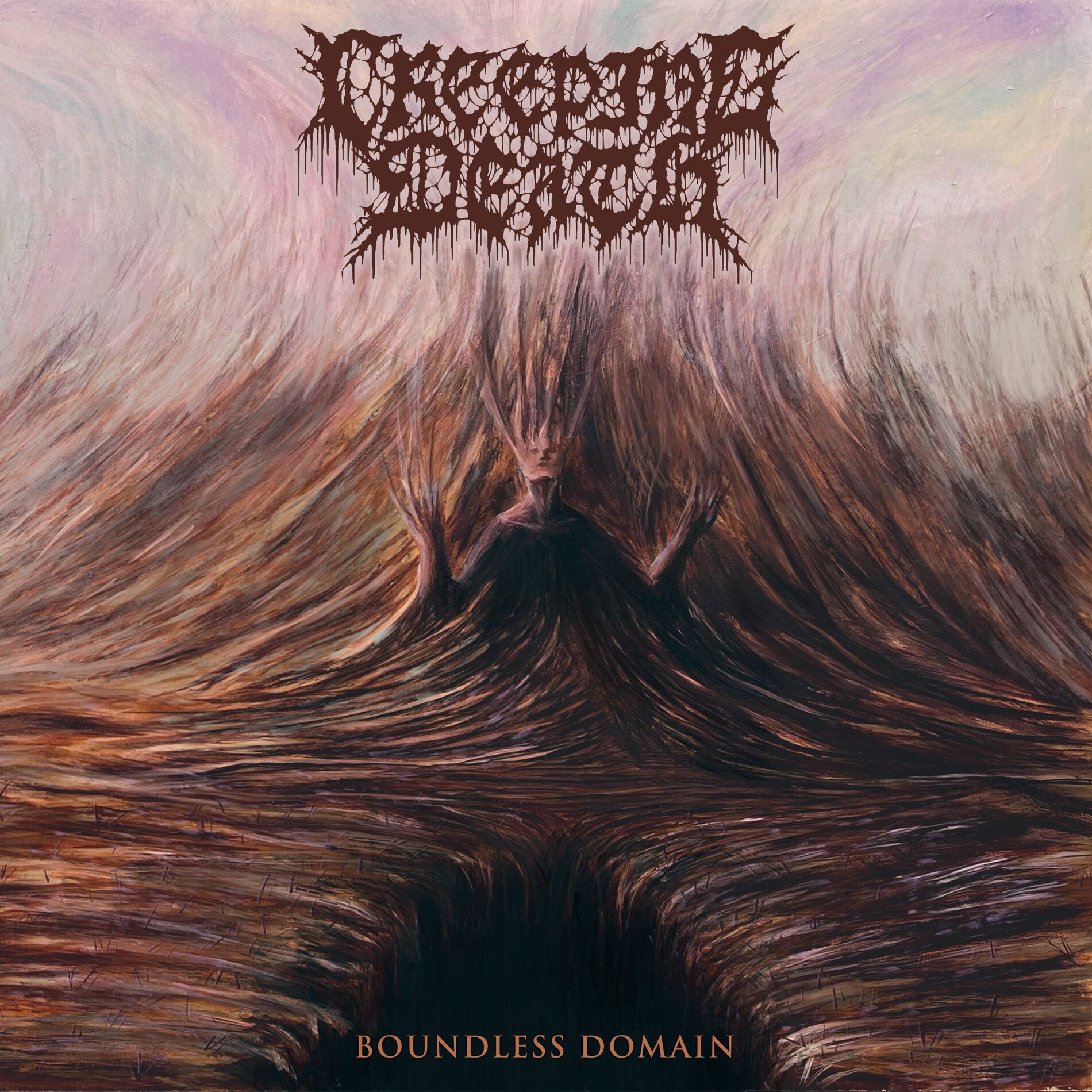 Album cover of Boundless Domain