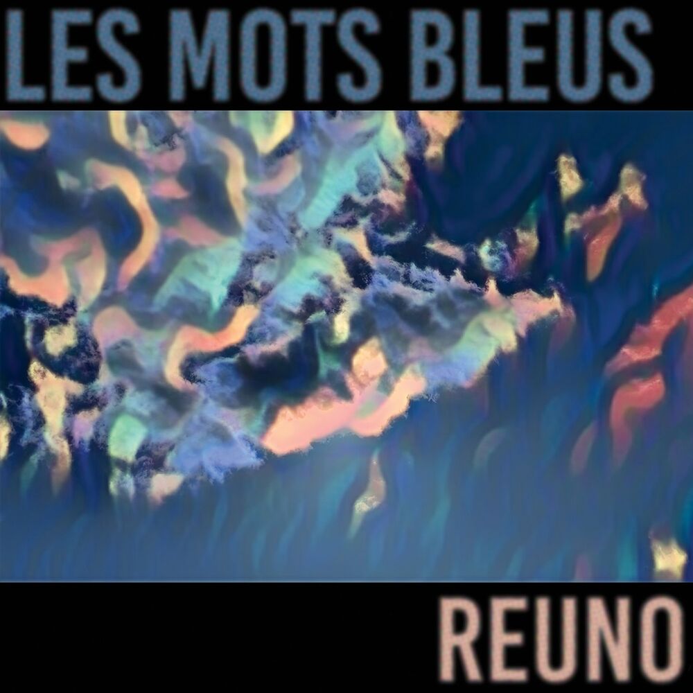 Picture of Les mots bleus