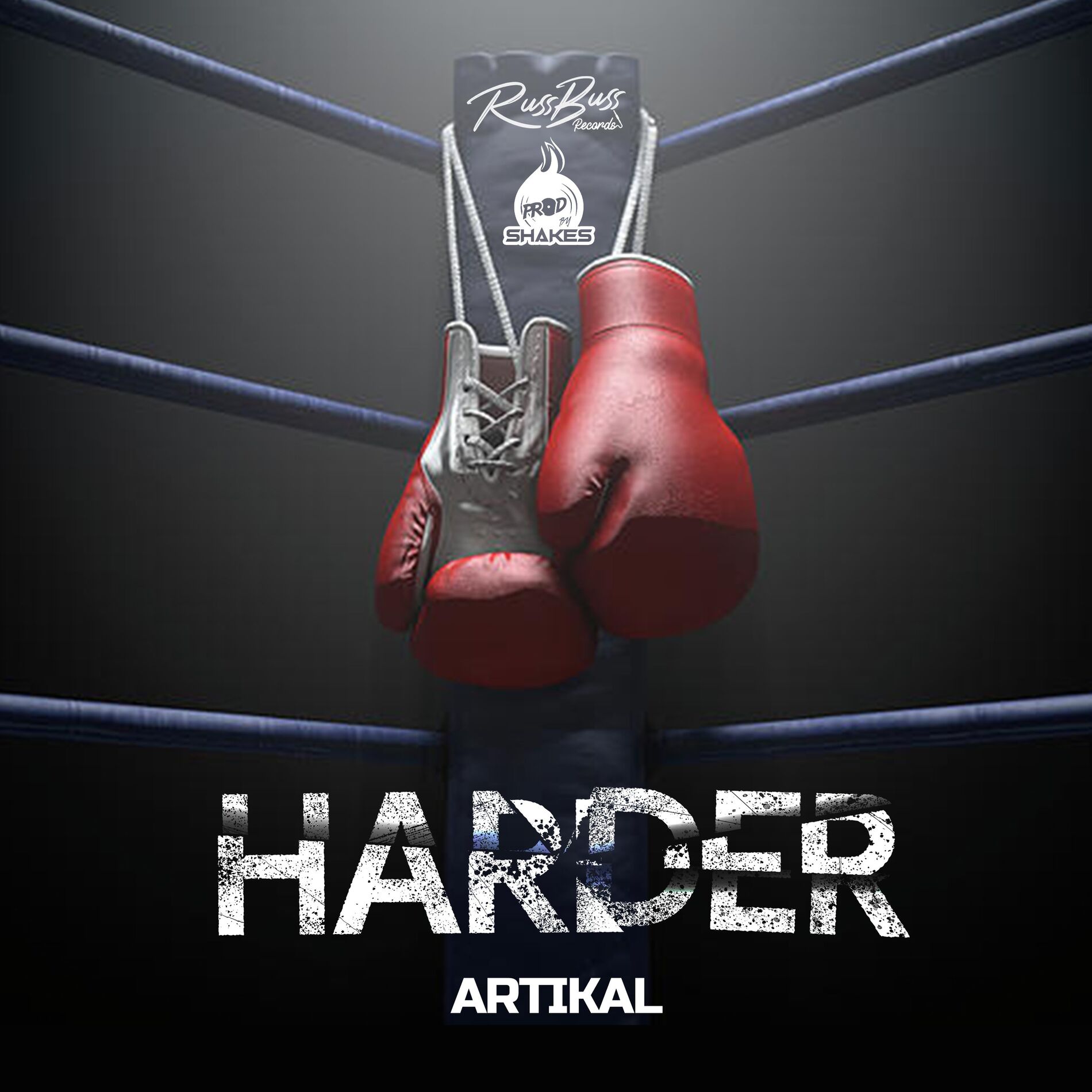 Album cover of Harder