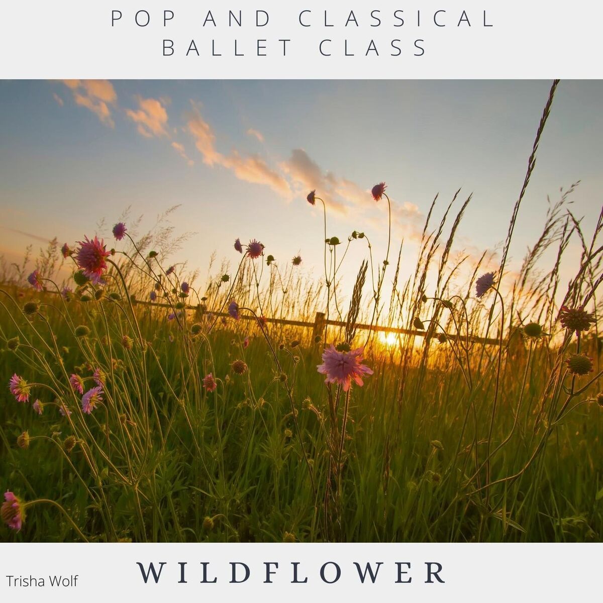 Album cover of Pop and Classical Ballet Class: Wildflower