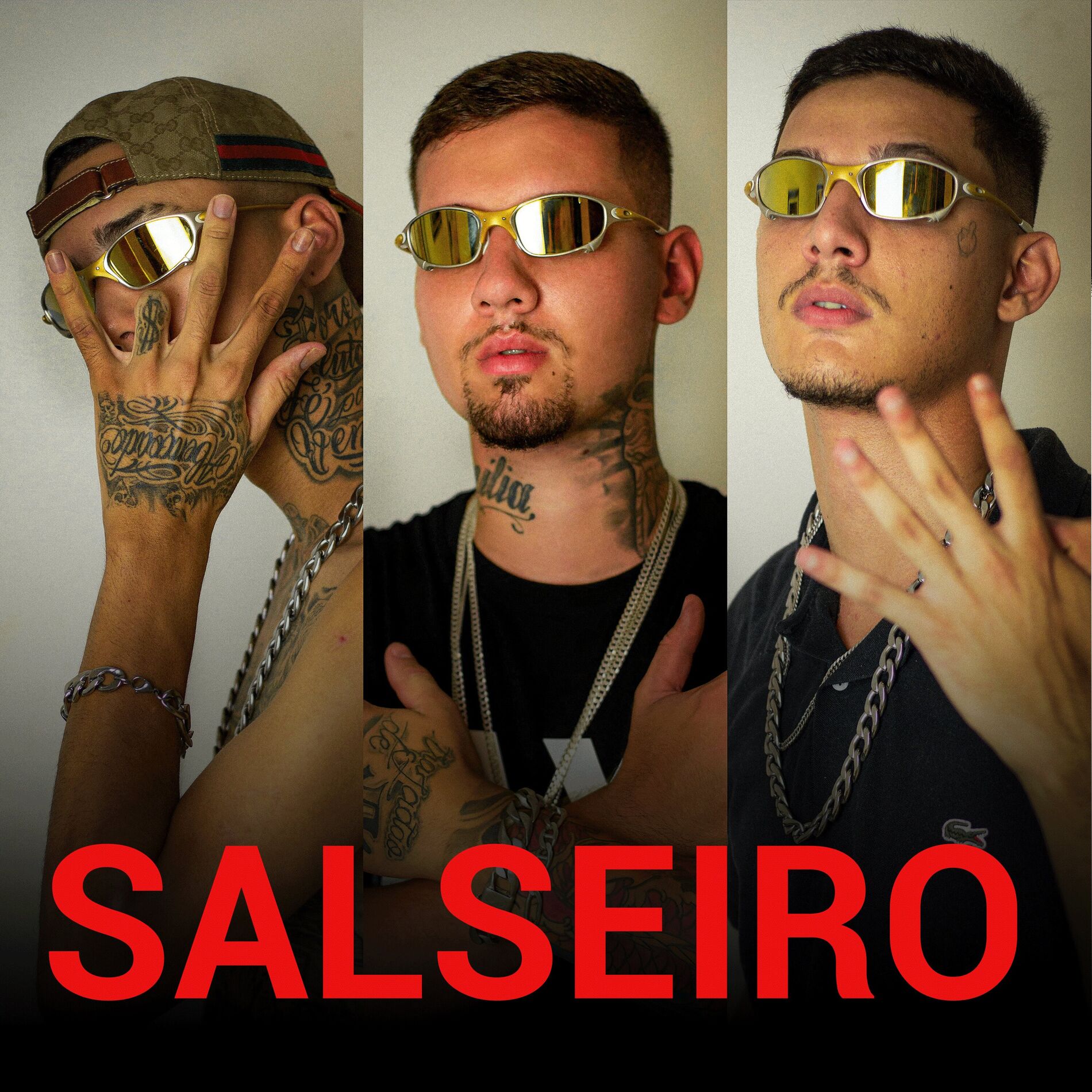 Album cover of Salseiro