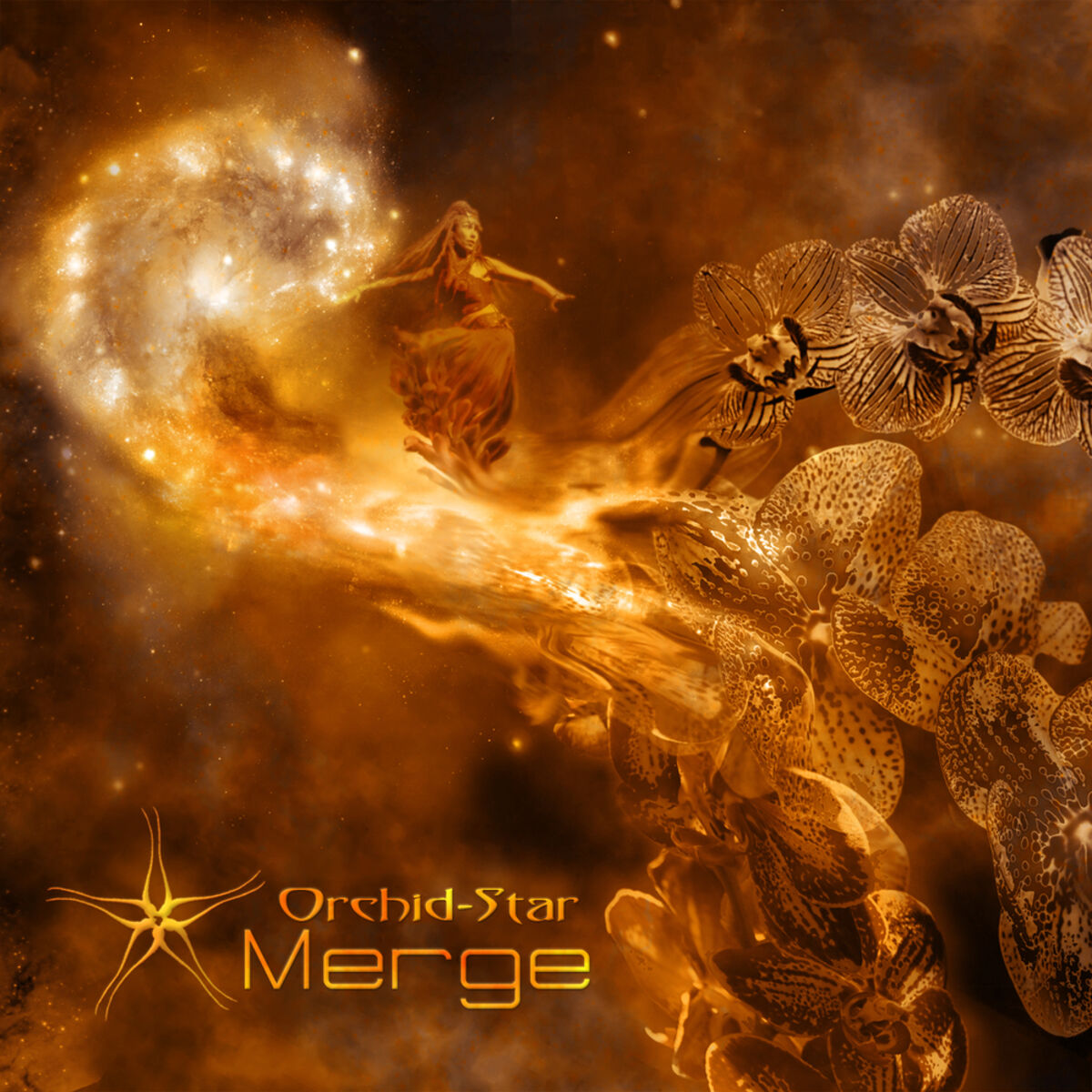 Album cover of Merge