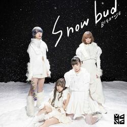 Cover of Snowbud/BIGHOUSE