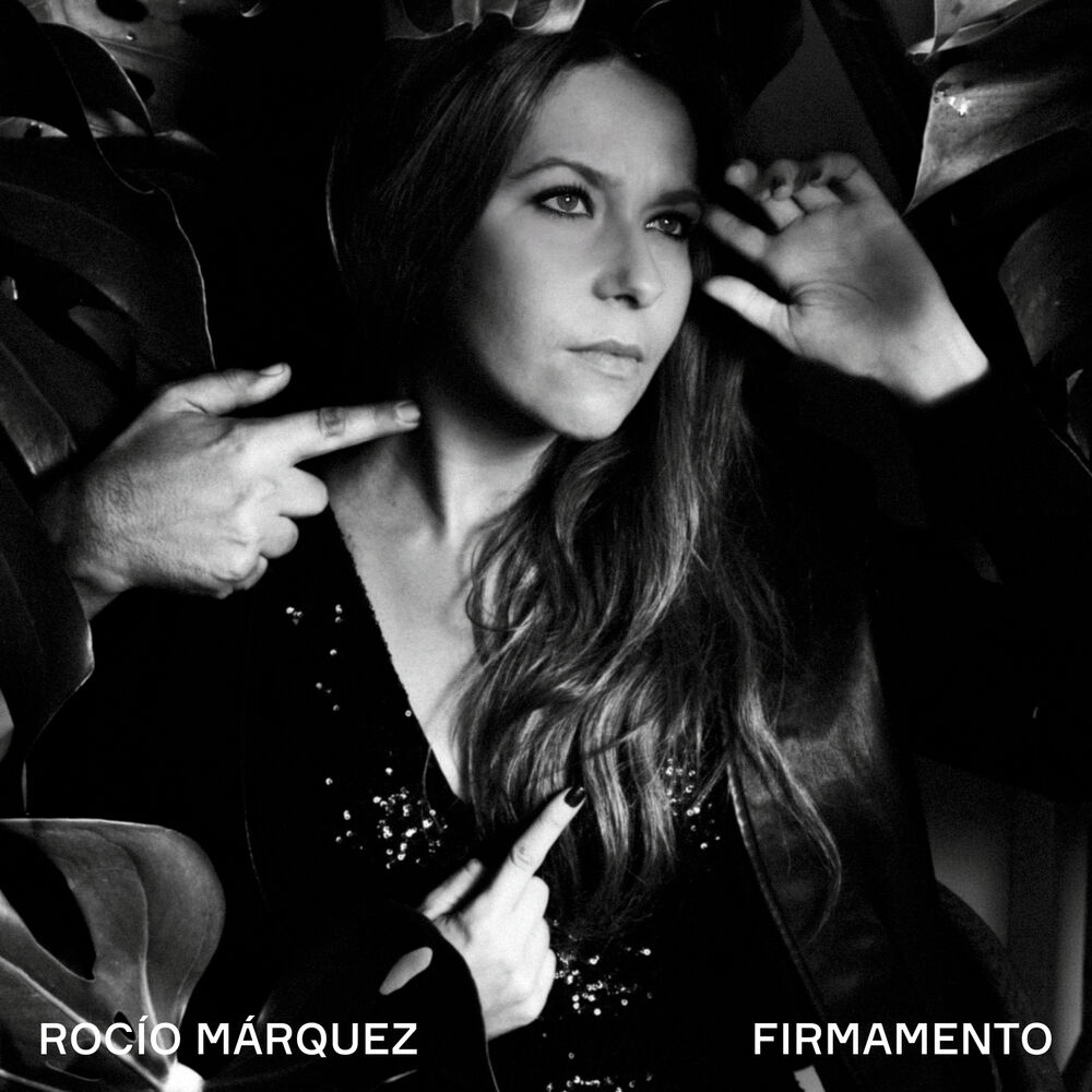 Picture of Firmamento