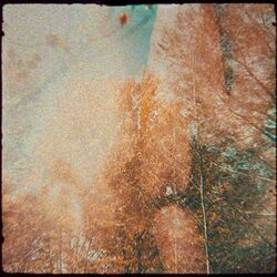 Cover of By Firelight, On Autumn Nights