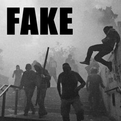 Cover of Fake