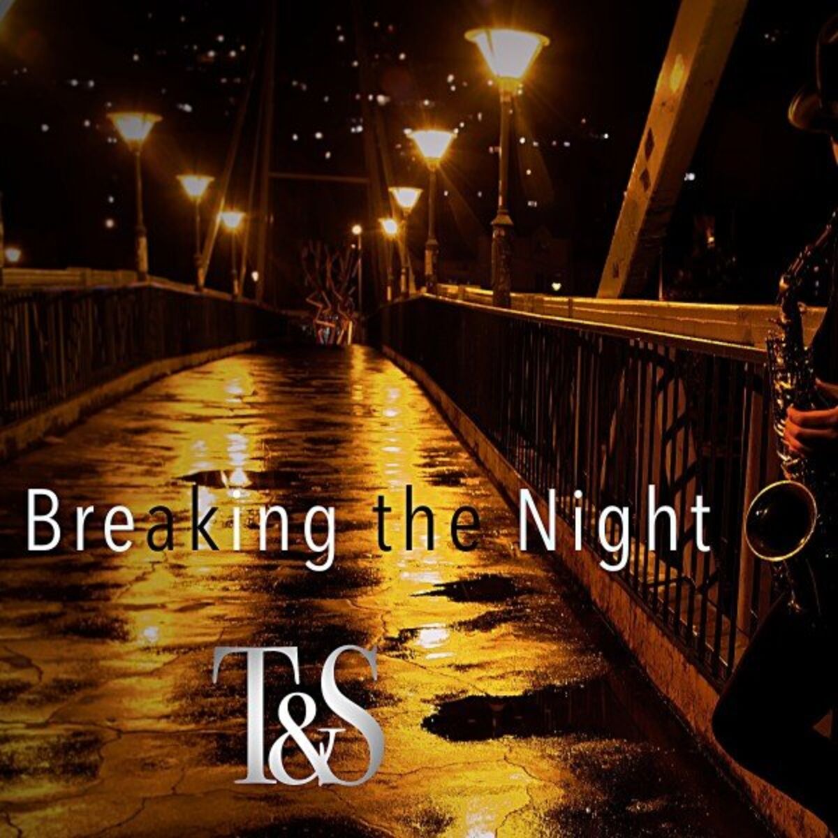 Album cover of Breaking the Night