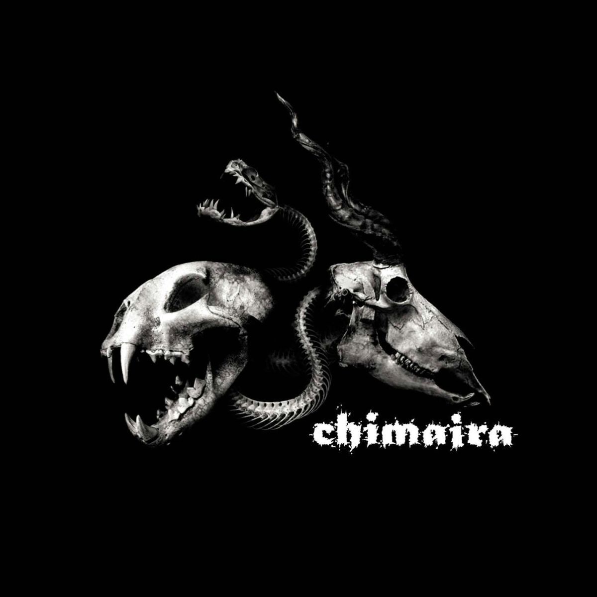 Album cover of Chimaira Bonus Disc (Digital Bundle)